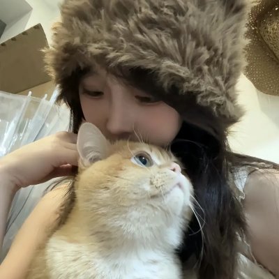 穿靴子的猫:萌猫三剑客